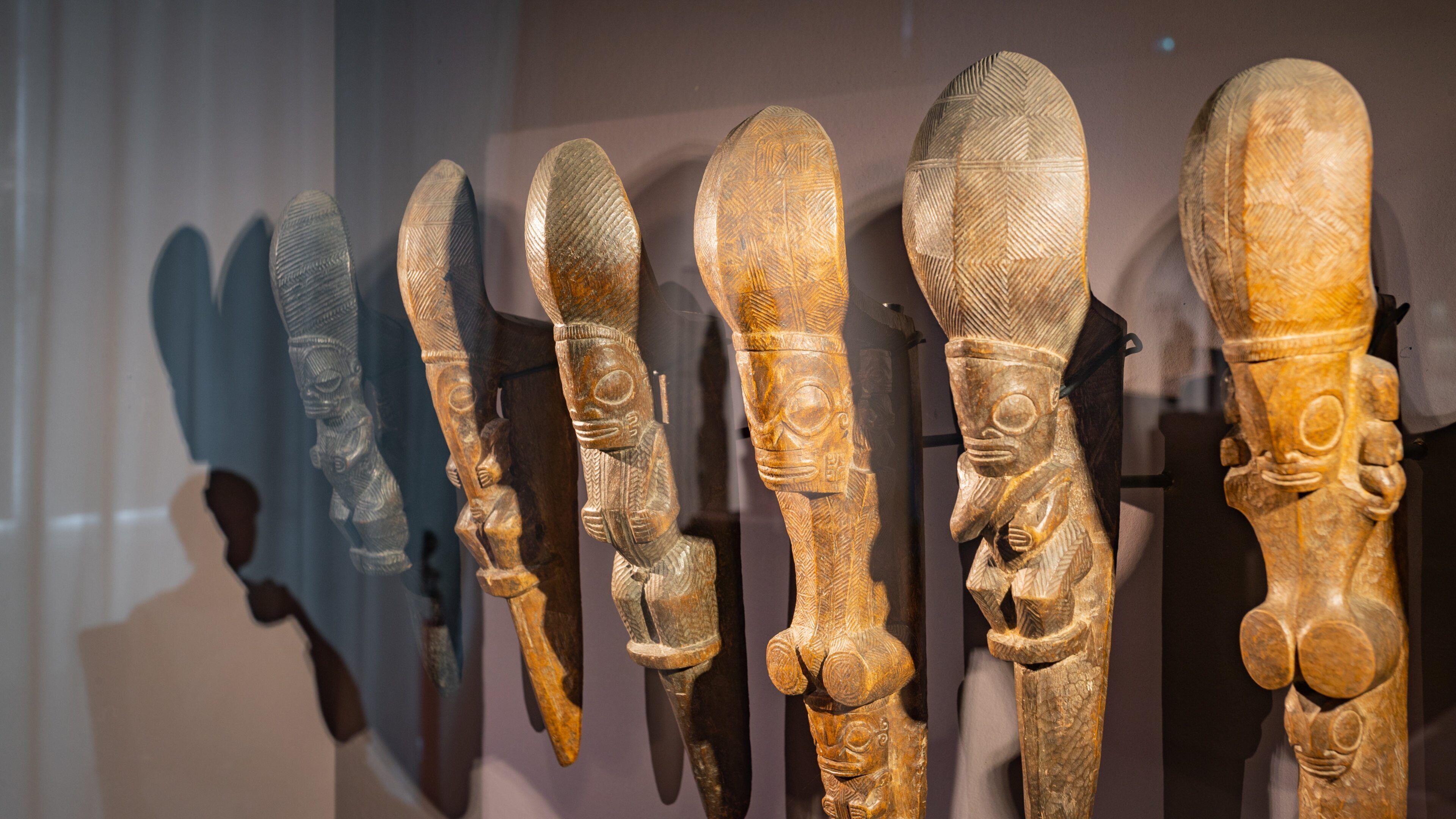 Castre Museum which includes heritage elements and interior views