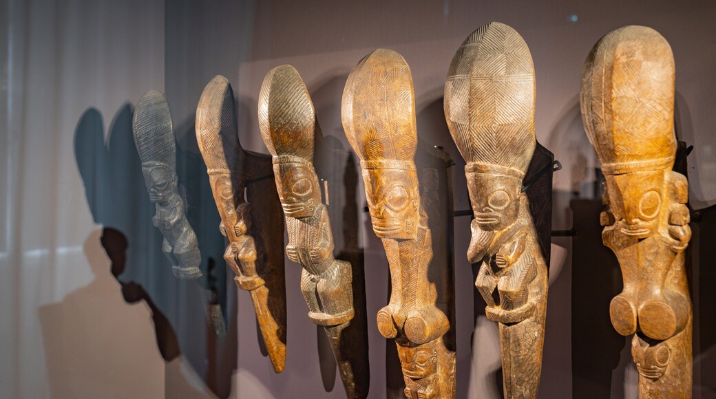 Castre Museum which includes heritage elements and interior views