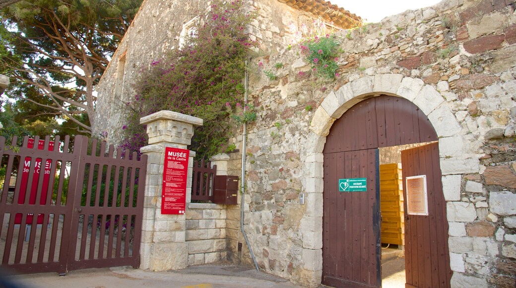 Musée de la Castre