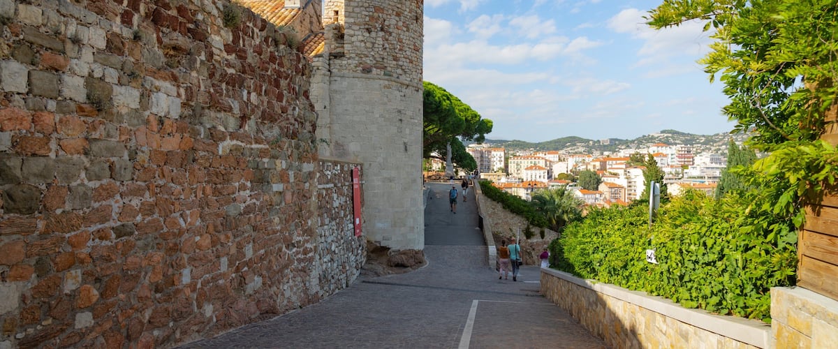 Castre Museum featuring heritage elements and views