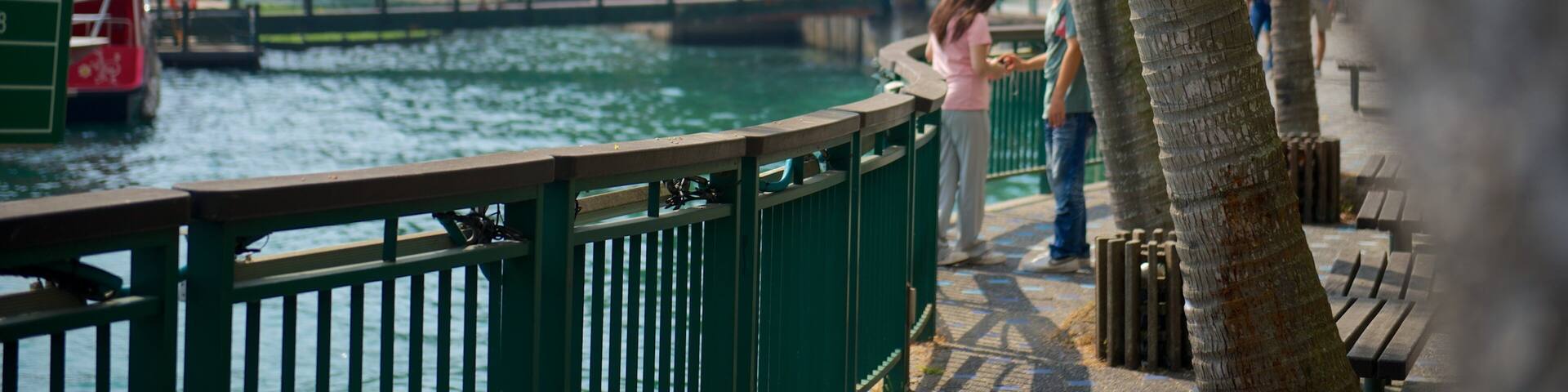 A river with a bridge, palm trees, and people walking along the path.