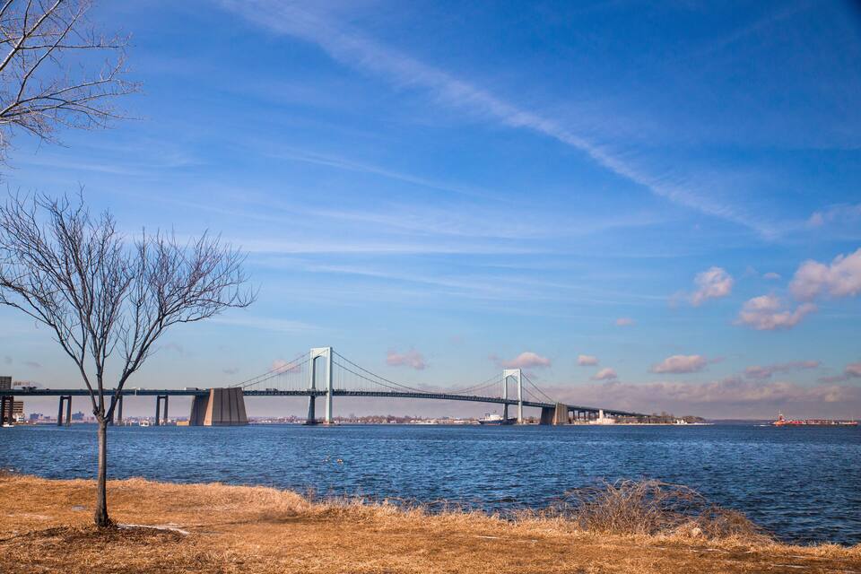 A suspension bridge over a river with a clear sky and a leafless tree in the foreground.