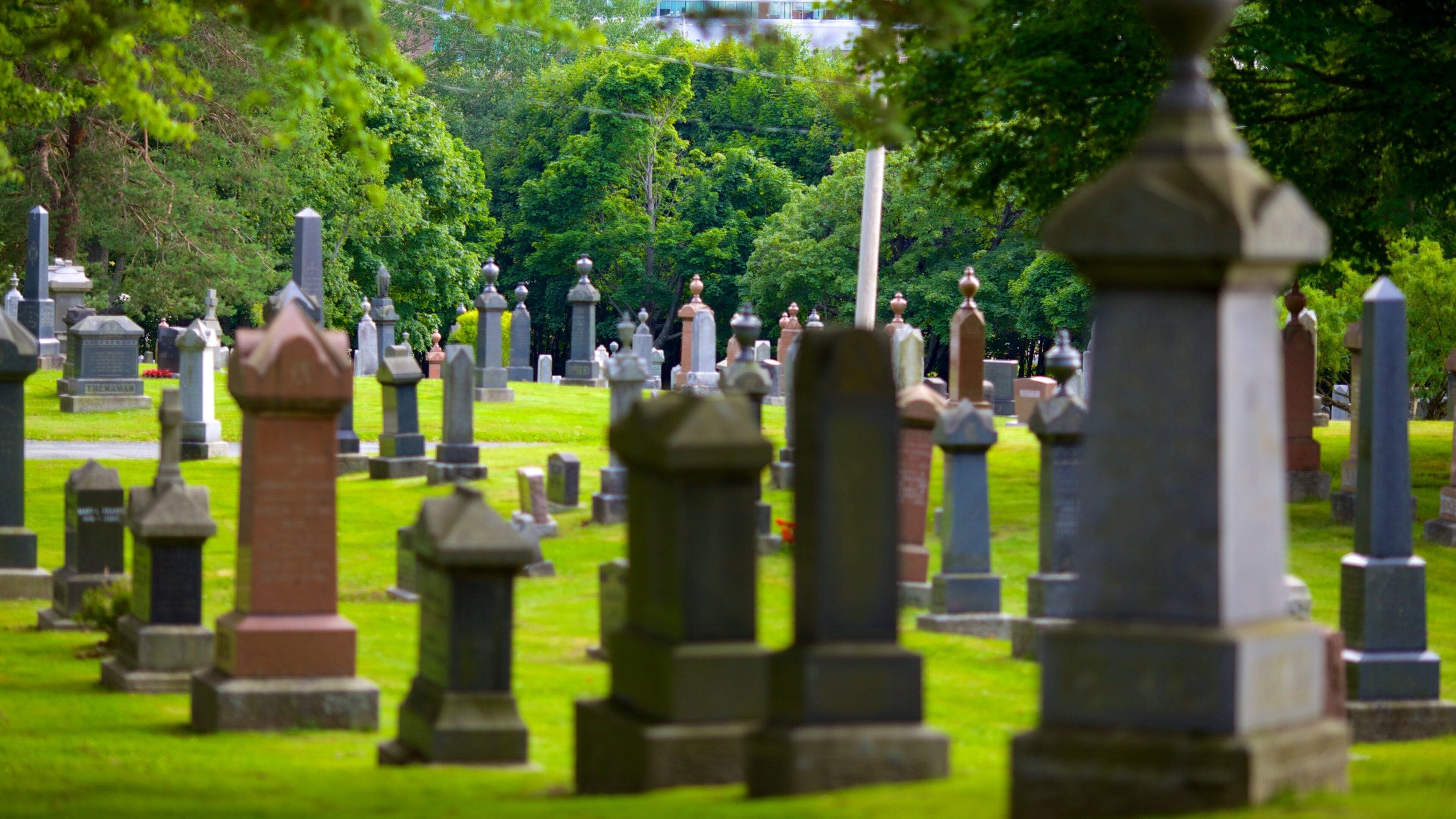 Fairview 墳場 其中包括 紀念物 和 墓地