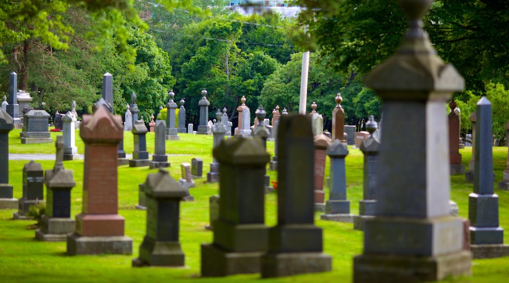 Fairview 墳場 其中包括 紀念物 和 墓地