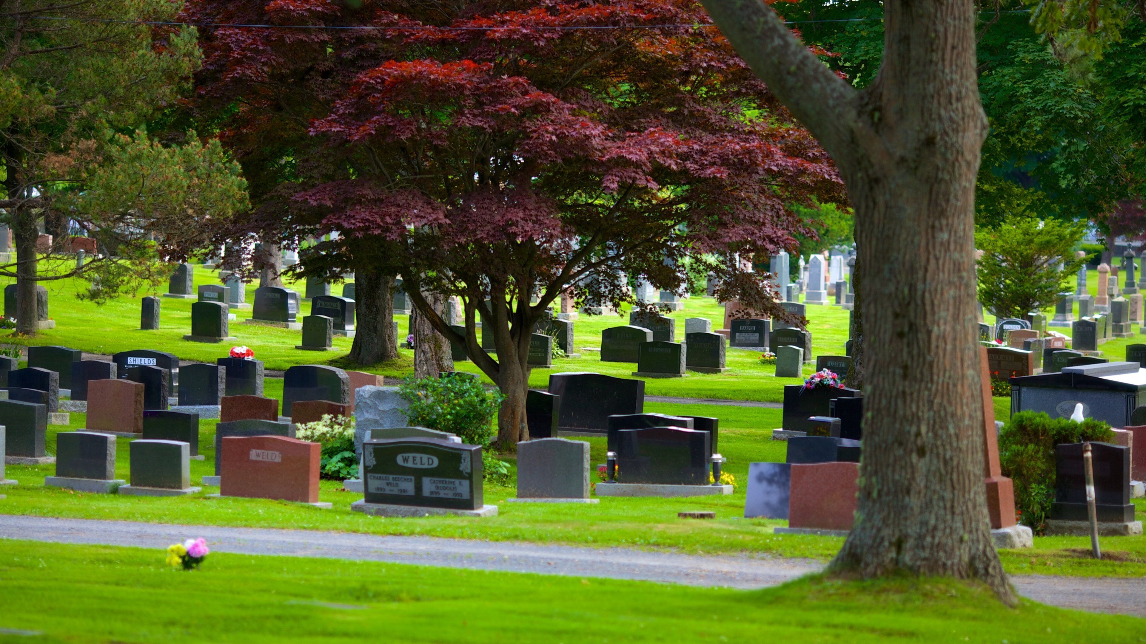 Fairview Cemetery featuring a memorial and a cemetery