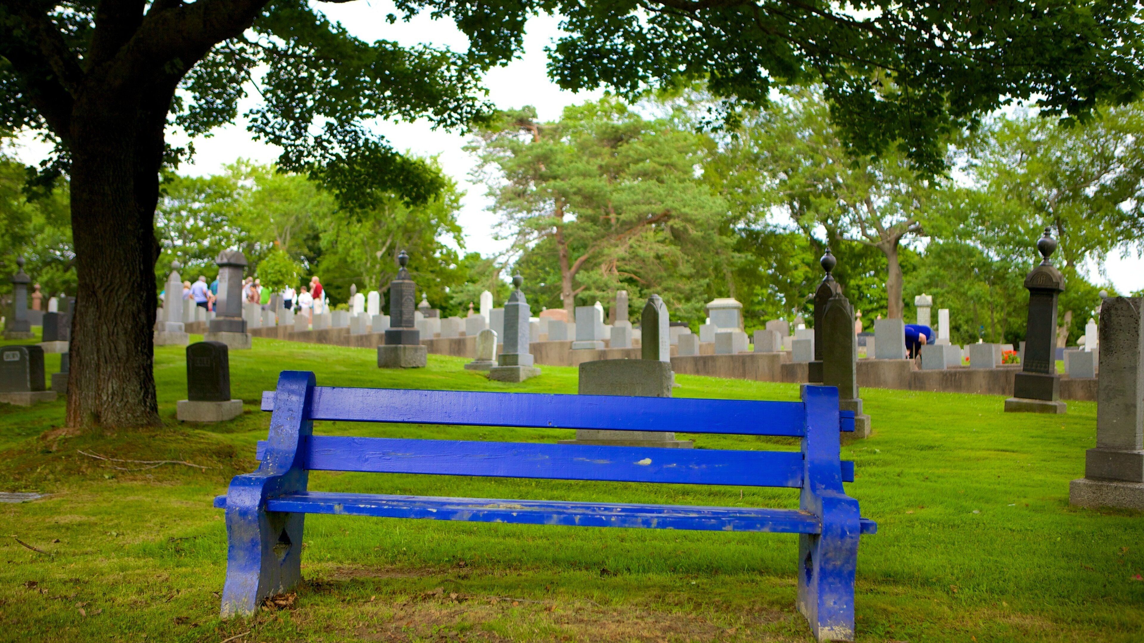 美景墓園 呈现出 墓地 和 紀念館