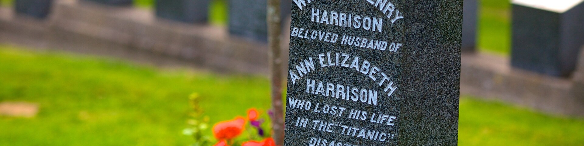 Fairview Cemetery showing a cemetery and a memorial