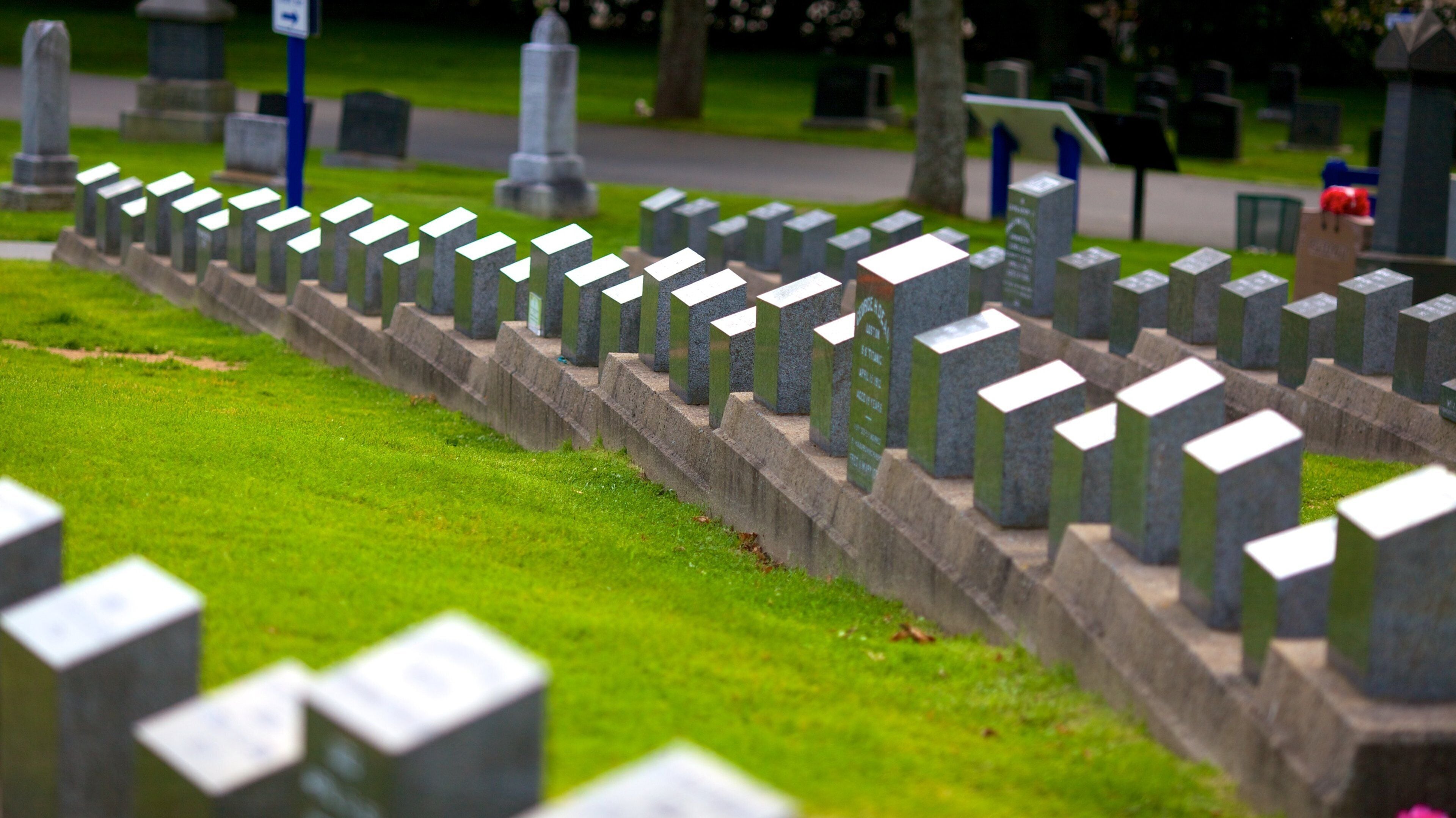 Fairview 墳場 其中包括 墓地 和 紀念物