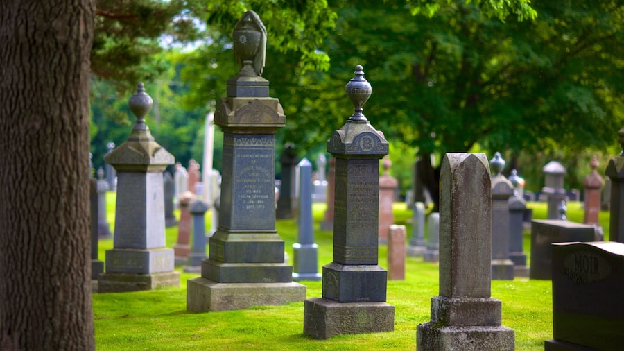 Fairview Cemetery toont een monument en een begraafplaats