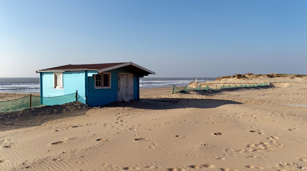 Hourtin beach in Gironde coast, Shutterstock ID 1038120283, Purchase Order: -