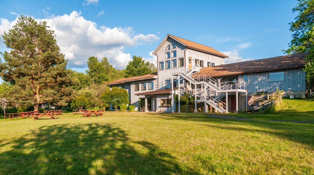 Activité ludique Nature Discovery Center