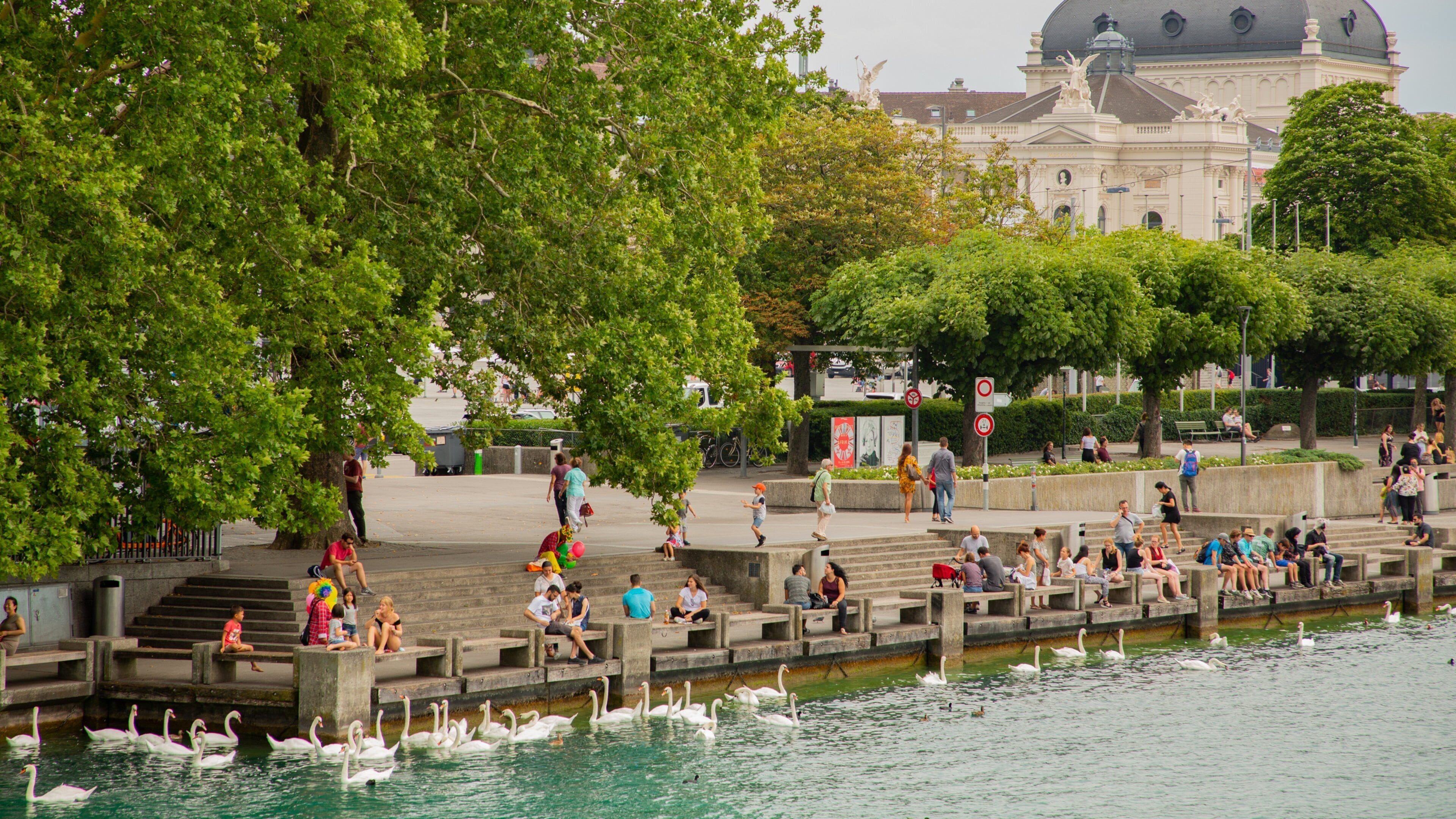 Lakeside Promenade which includes a river or creek and bird life as well as a small group of people