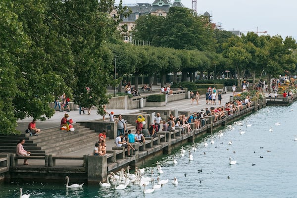 Lakeside Promenade showing a river or creek and bird life