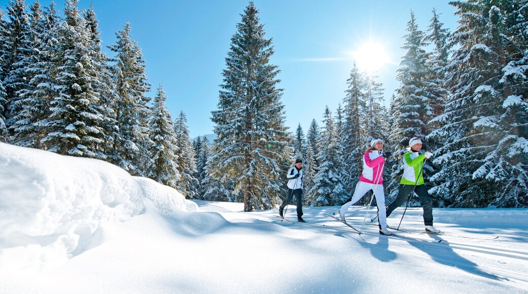 Centro de esquí Nassfeld-Hermagor mostrando ski de fondo y nieve y también un pequeño grupo de personas