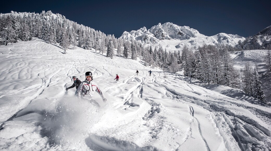 Centro de esquí Nassfeld-Hermagor mostrando nieve y montañas y también un pequeño grupo de personas