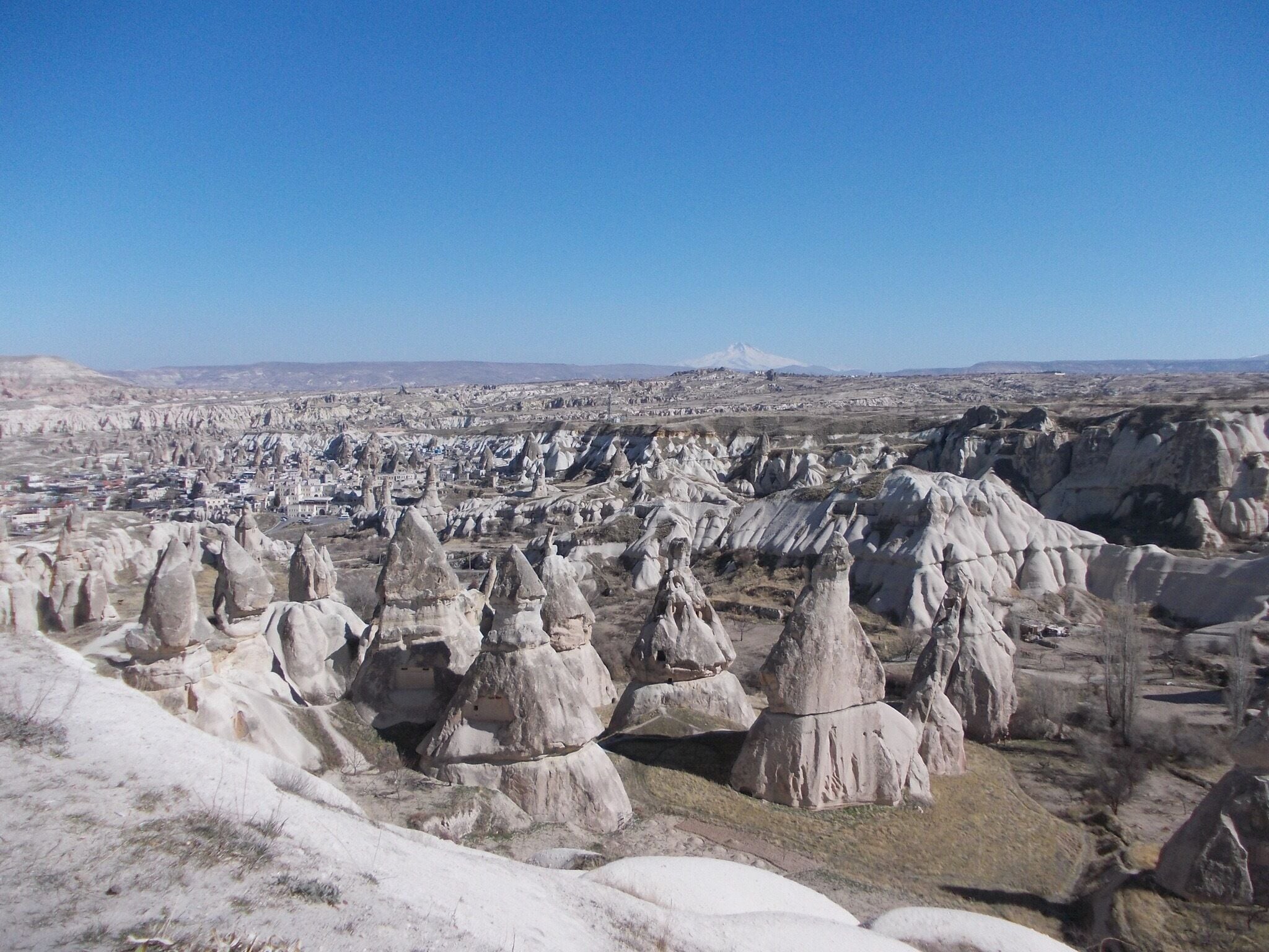 Houses built in volcanic rock. 