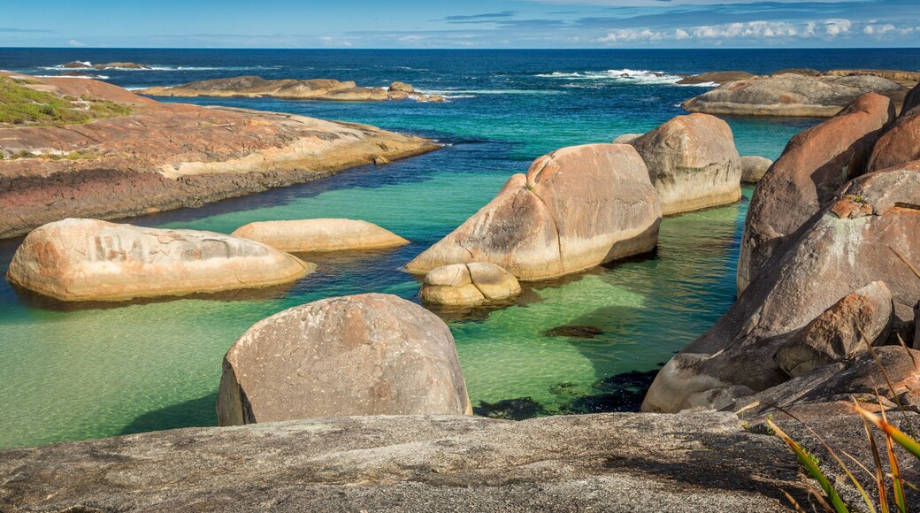 วิลเลียมส์เบย์