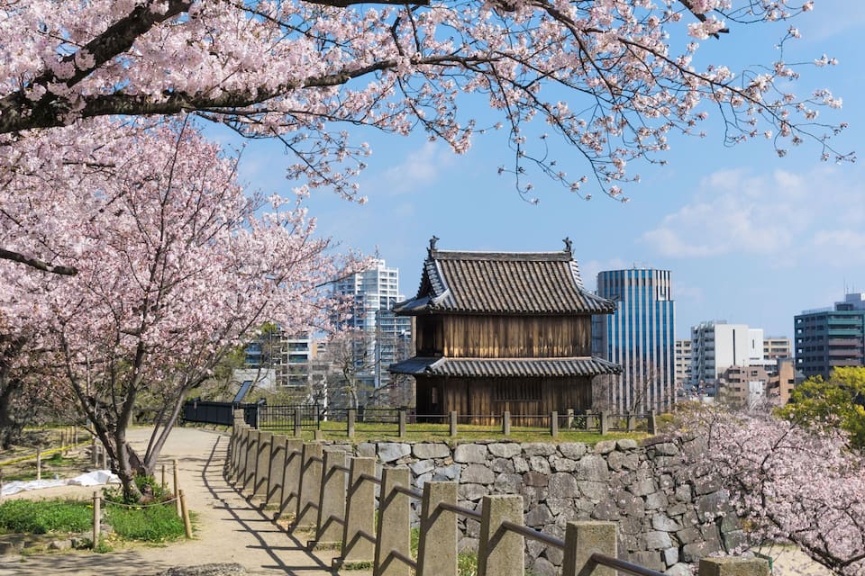 A traditional Japanese building with a tiled roof, surrounded by cherry blossom trees and a stone wall, set against a cityscape.