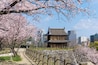 福岡城