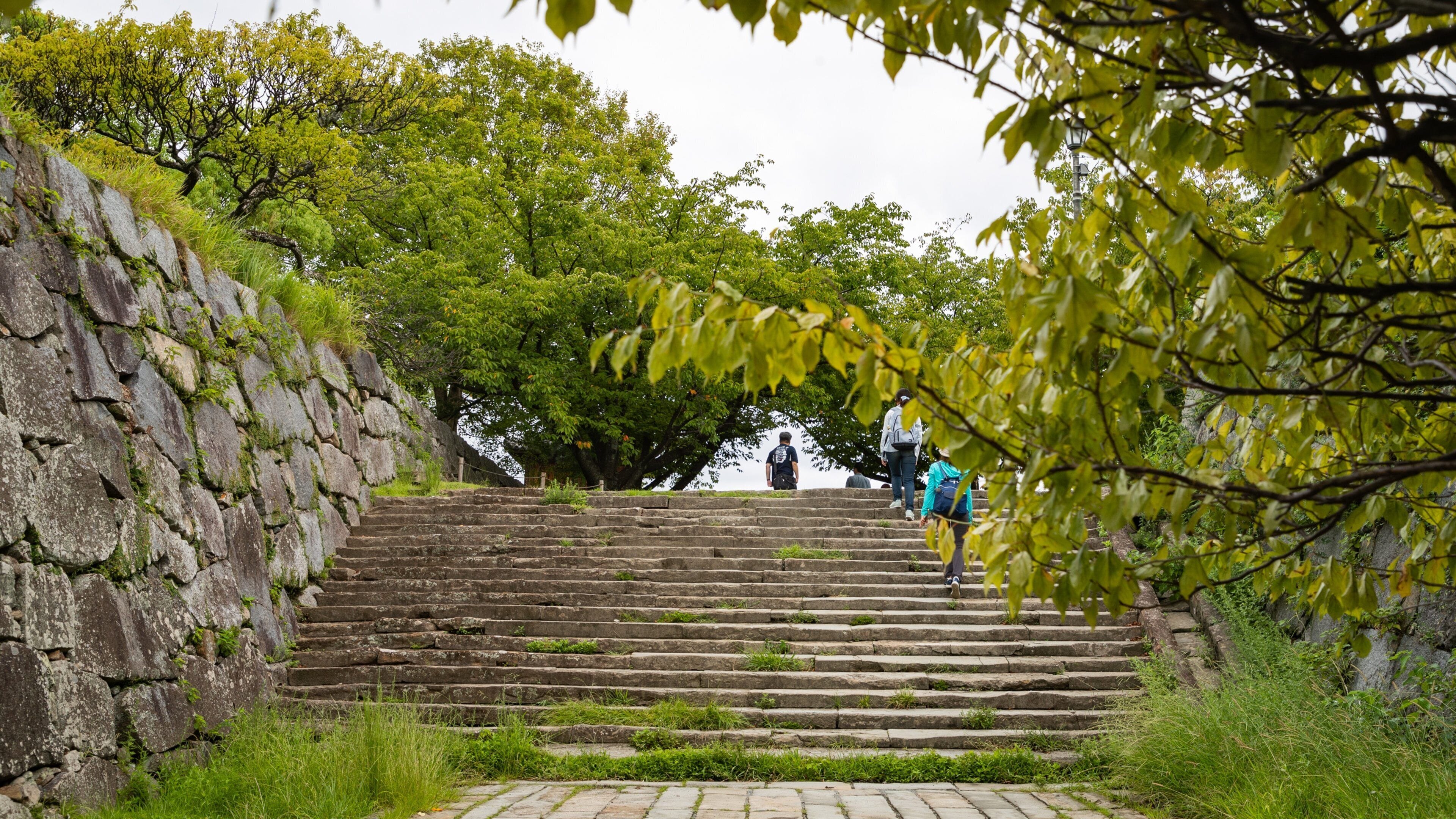 Fukuoka Castle