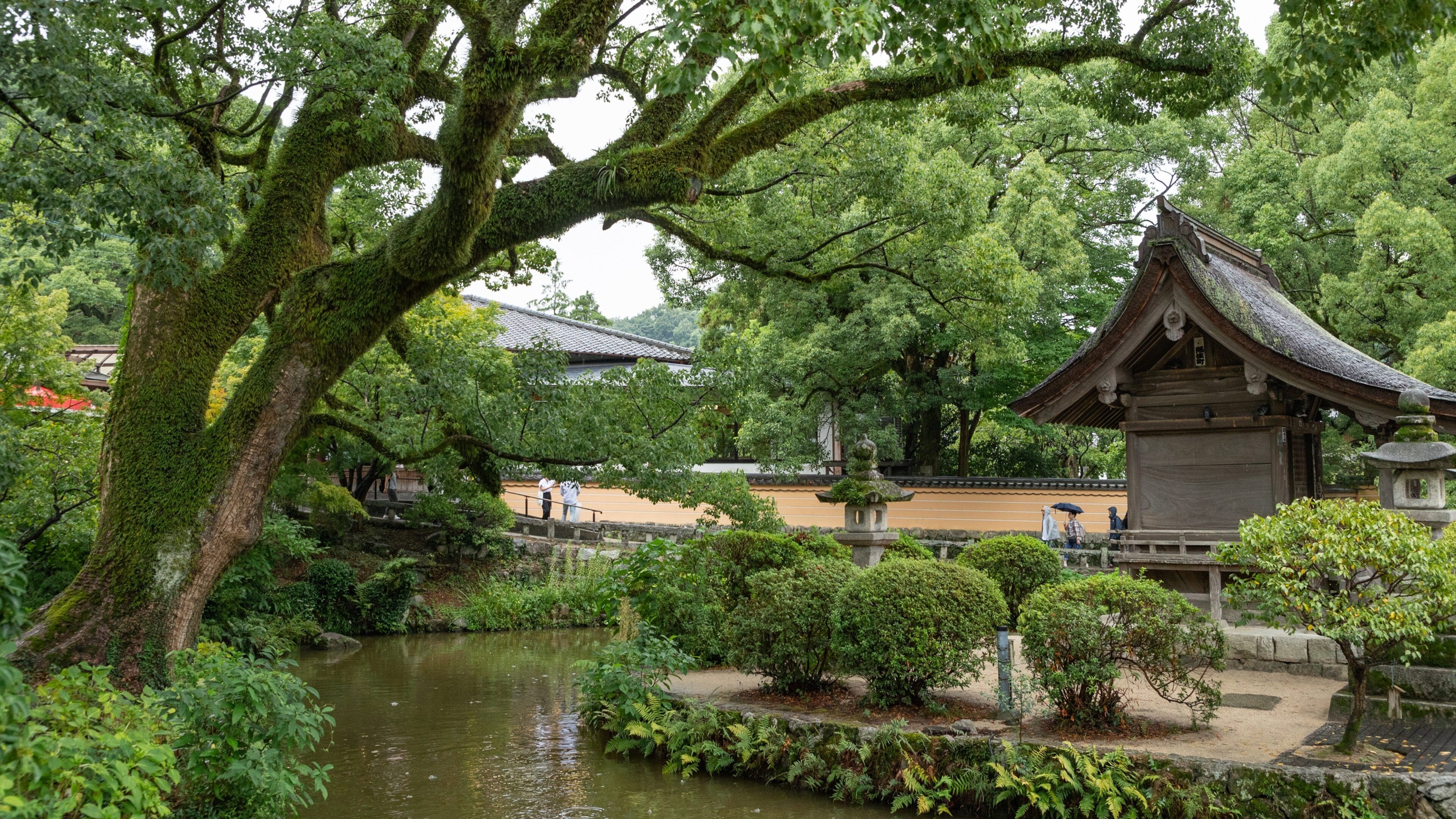 Dazaifu Tenmangu