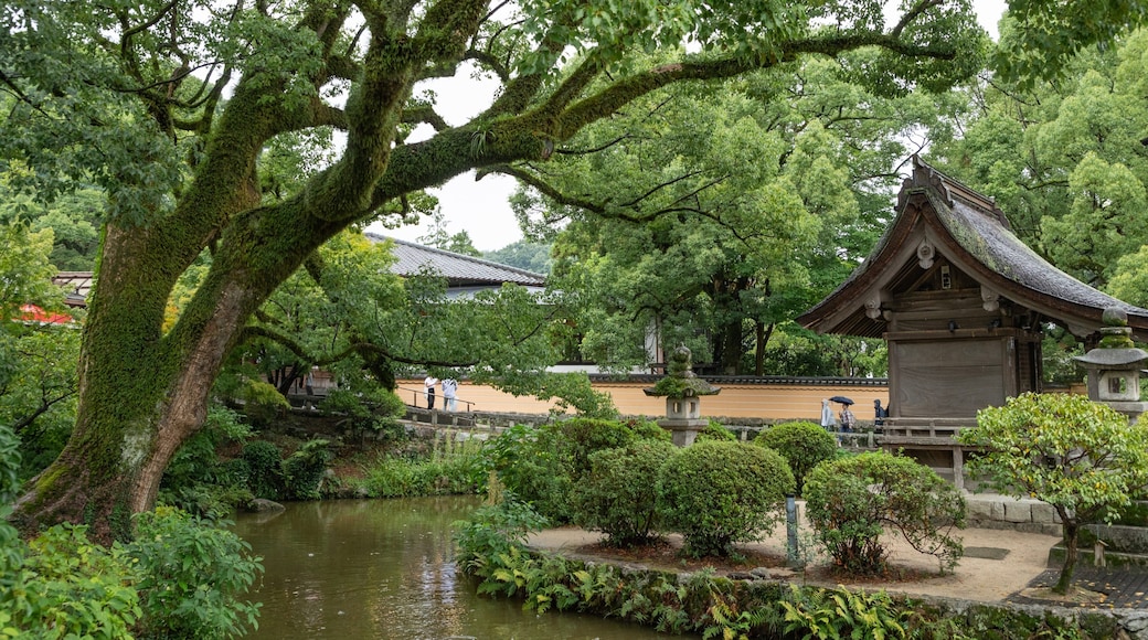 Dazaifu Tenmangu