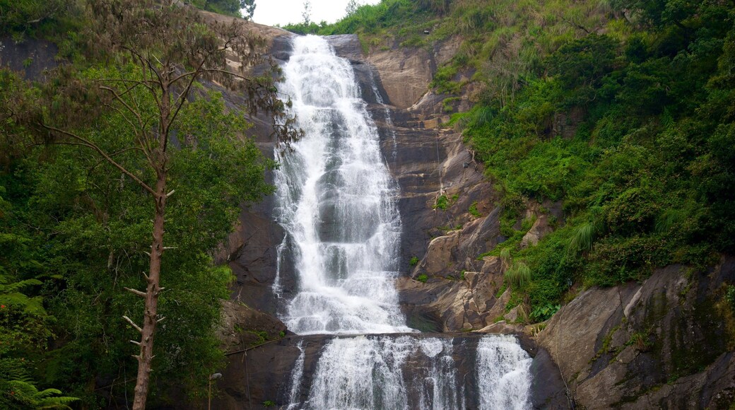 Silver Cascade showing a waterfall