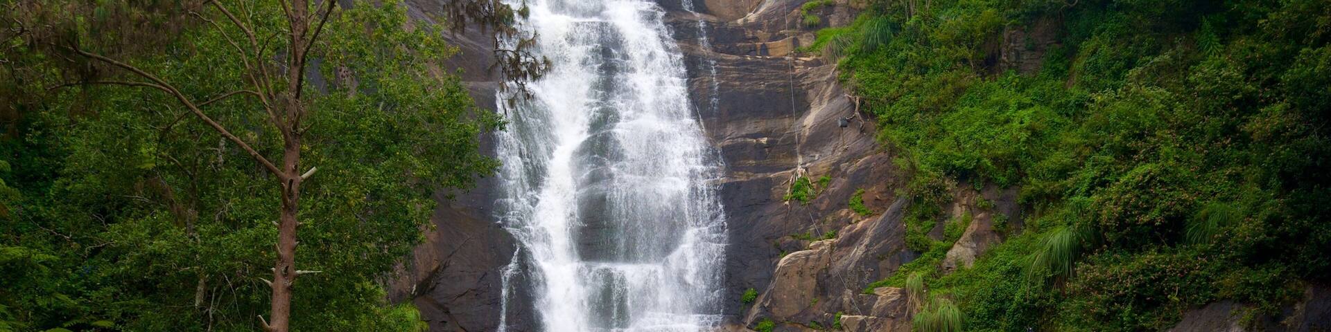 Silver Cascade mettant en vedette chute d\'eau