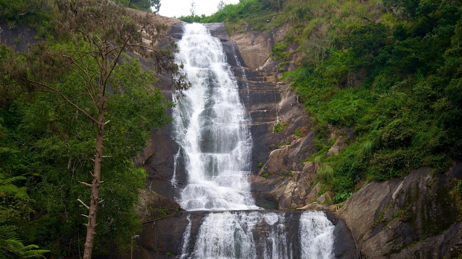 Silver Cascade showing a waterfall