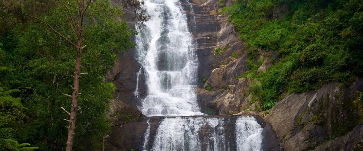 Silver Cascade which includes a waterfall