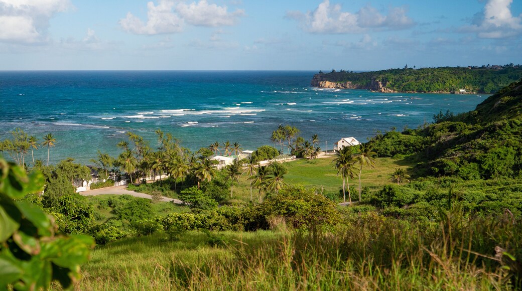 Scenic view from a hill overlooking the idyllic tropical coastline of Barbados.