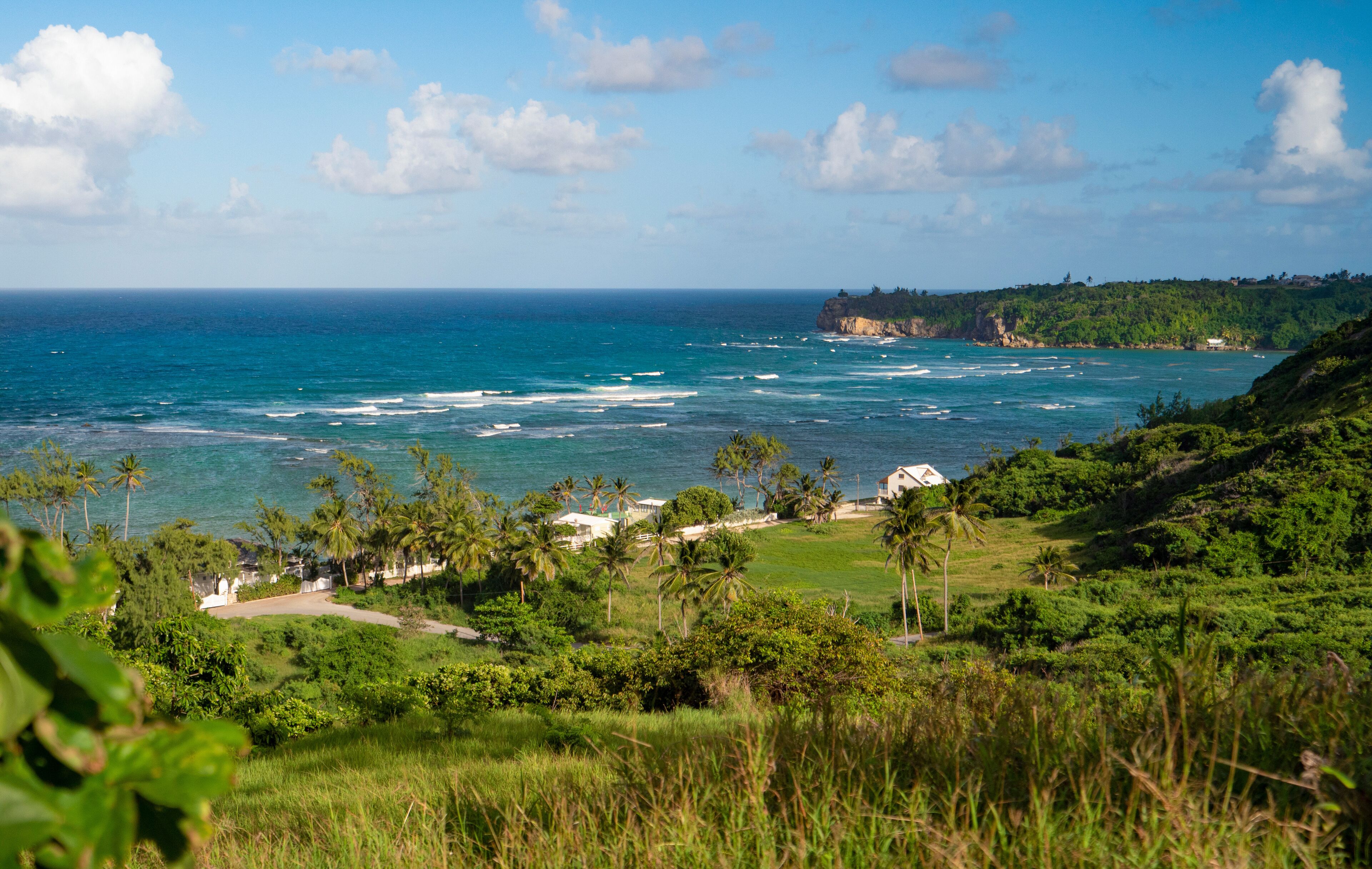 A coastal landscape with clear blue ocean, green hills, and palm trees.