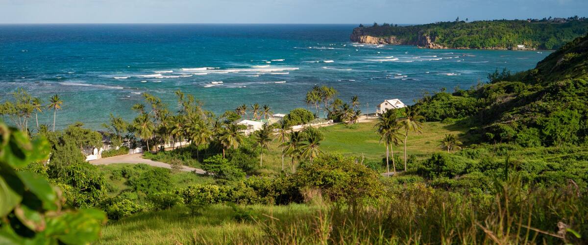 A coastal landscape with clear blue ocean, green hills, and palm trees.