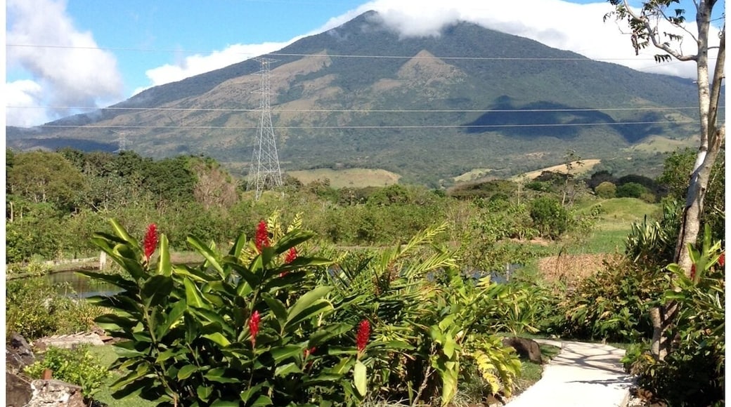 Muy buena vista al volcán Miravalles, y tiene dos piscinas de aguas termales muy ricas! Aunque es mejor traer comida, la del restaurante es un poco cara y lo mas cercano de comidas esta como a 20 km, pero muy recomendado si tienen planeado venir al Volcán Miravalles o si vienen de paso.