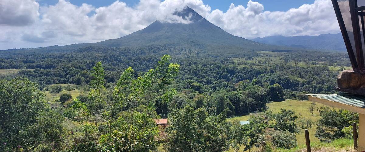 A lush green landscape with a prominent mountain in the background.