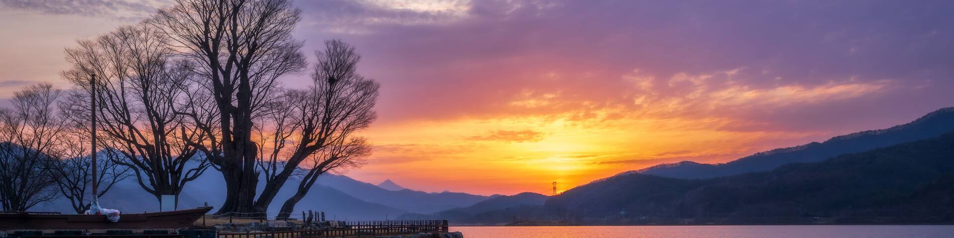 Sunrise landscape over Dumulmeori Lake with ancient zelkova trees and river reflection, Yangpyeong, South Korea