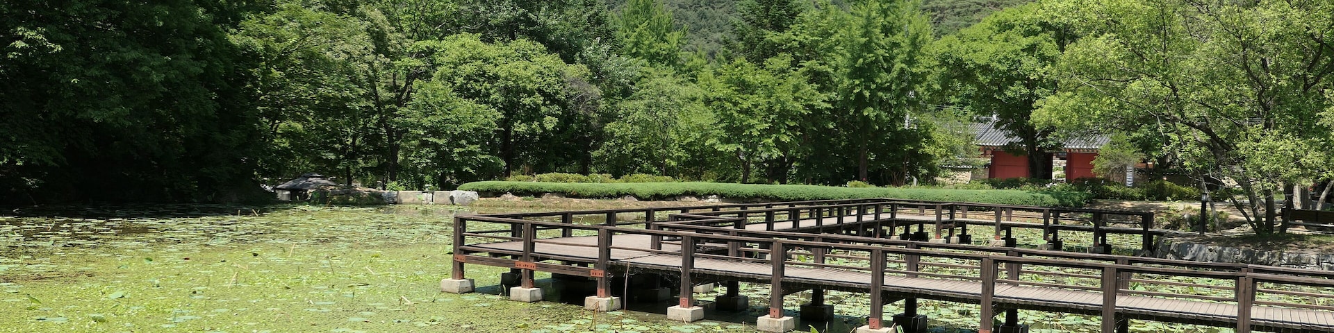 A wooden bridge over a pond with lily pads, surrounded by lush green trees and a mountain in the background.