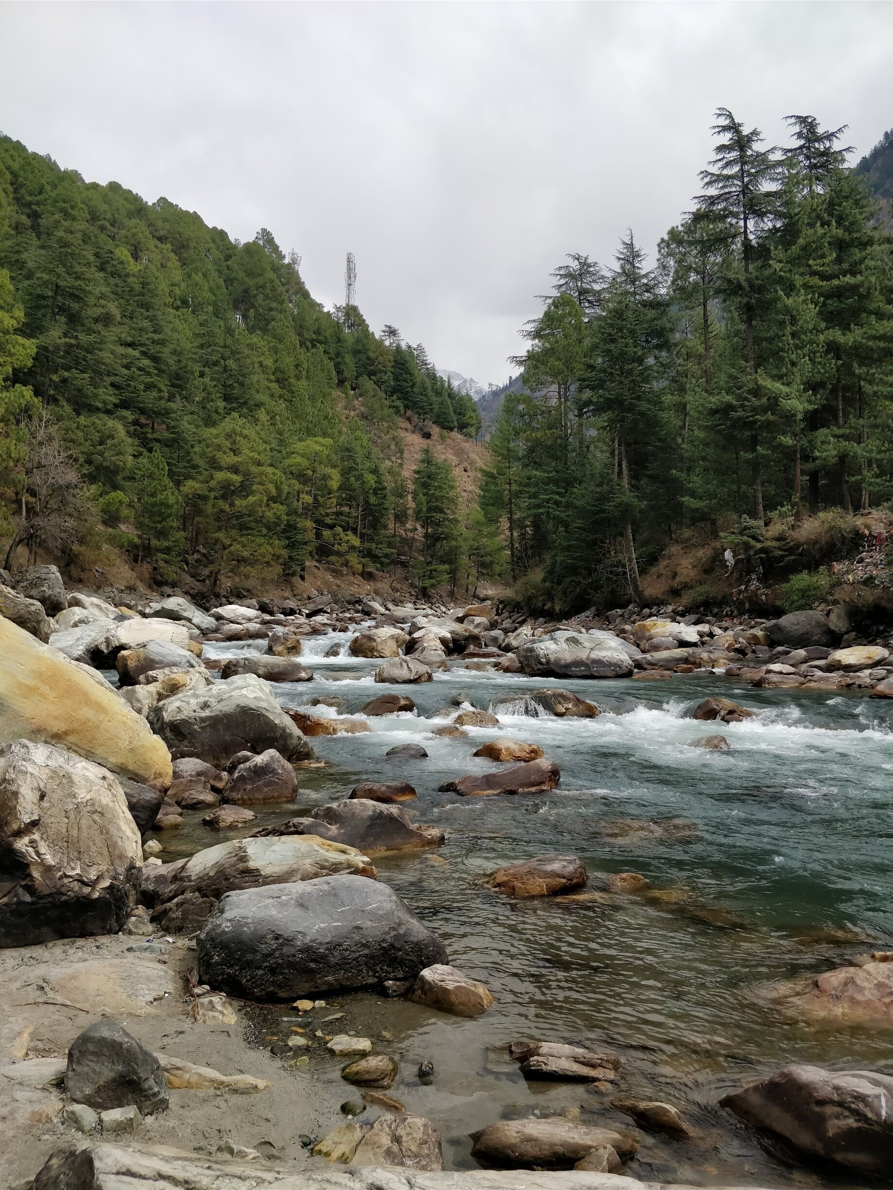 A river flowing through a rocky landscape with dense green forests.
