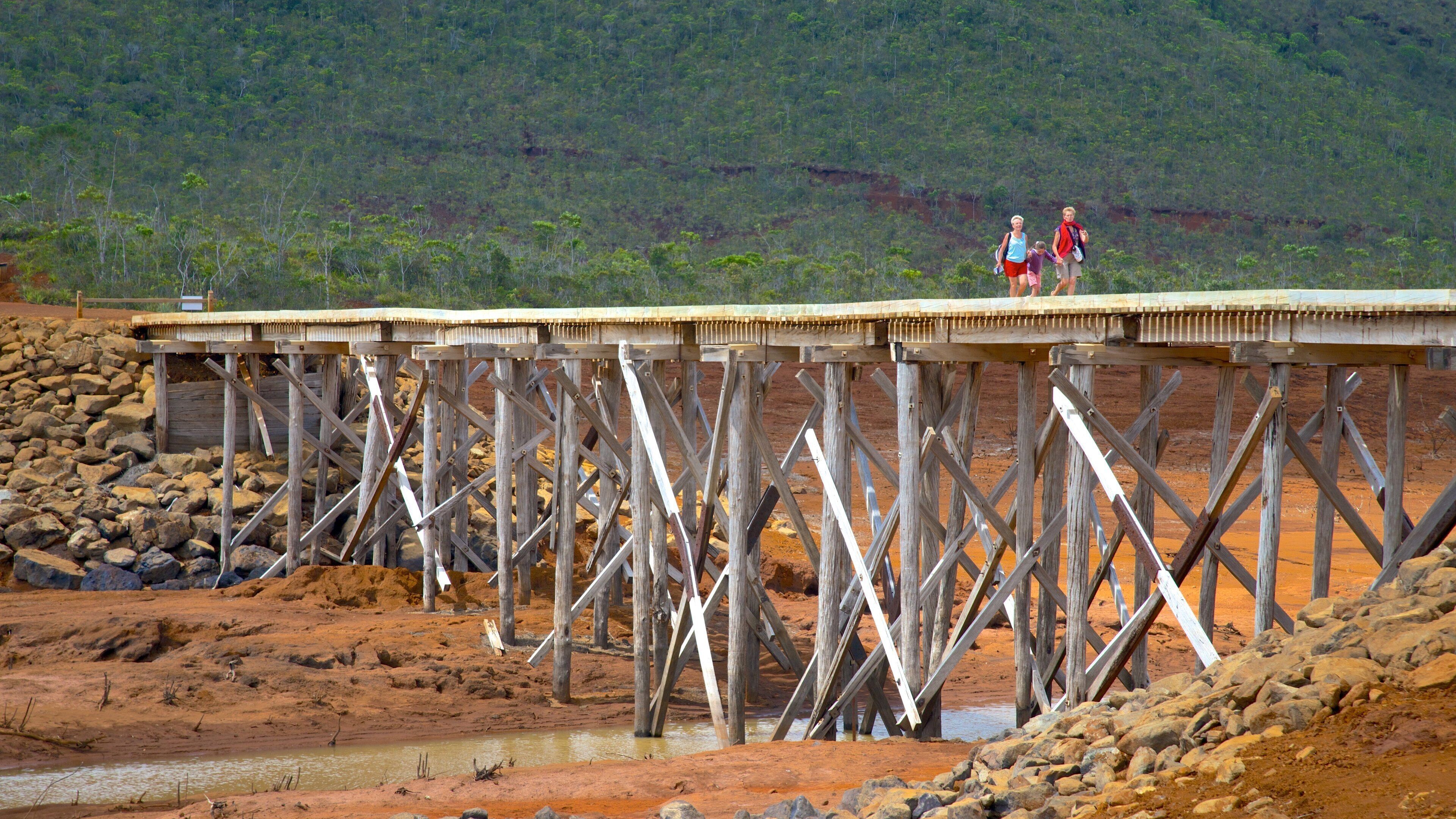 Yate ofreciendo un puente