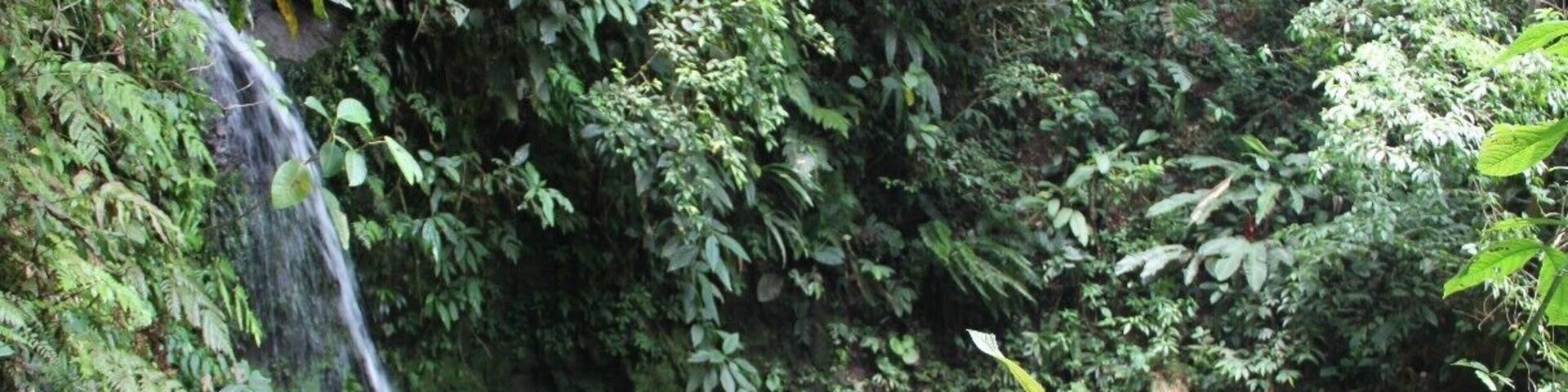Salto de Piedras
you can reach this cute waterfall in approx. 3 hours from Santa Fé. Ask in the village for the beginning and then just follow the road till you see a small house with a green wall. There is also a sign that says "Alto de Piedras". Don't go there but take the next path just a few steps further down where there is a sign which says "cuida la fauna" (or something similar).
You can also take a cab to reach this point.
From there it's only a couple of minutes till you reach the waterfall.