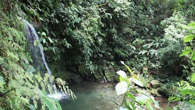 Salto de Piedras
you can reach this cute waterfall in approx. 3 hours from Santa FĂ©. Ask in the village for the beginning and then just follow the road till you see a small house with a green wall. There is also a sign that says "Alto de Piedras". Don't go there but take the next path just a few steps further down where there is a sign which says "cuida la fauna" (or something similar).
You can also take a cab to reach this point.
From there it's only a couple of minutes till you reach the waterfall.