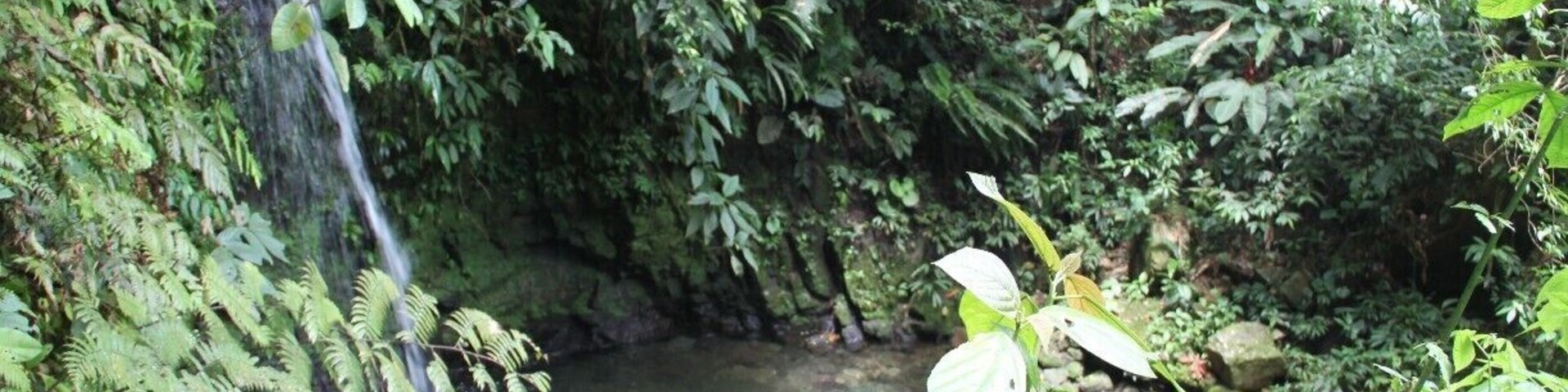 Salto de Piedras
you can reach this cute waterfall in approx. 3 hours from Santa Fé. Ask in the village for the beginning and then just follow the road till you see a small house with a green wall. There is also a sign that says "Alto de Piedras". Don't go there but take the next path just a few steps further down  where there is a sign which says "cuida la fauna" (or something similar).
You can also take a cab to reach this point.
From there it's only a couple of minutes till you reach the waterfall.