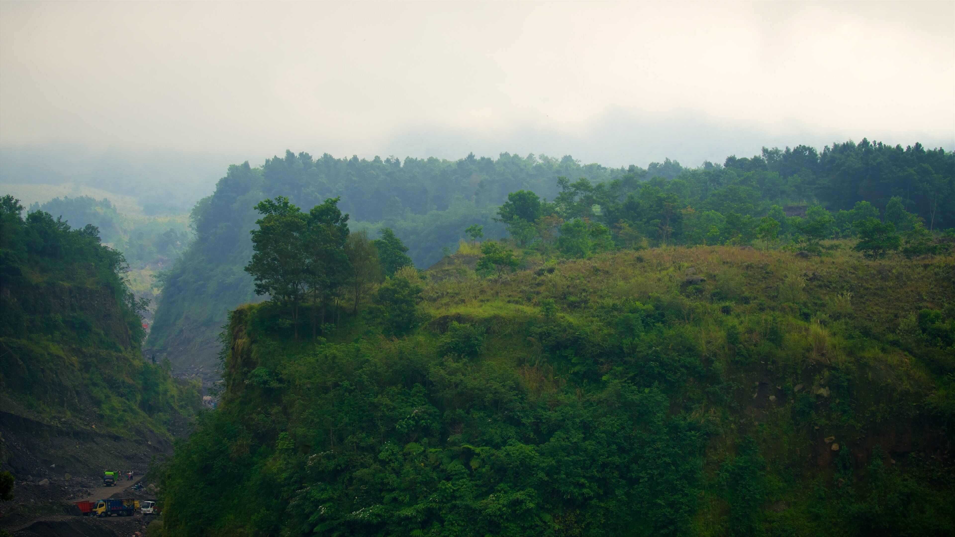 A lush green valley with dense forest and a winding road.