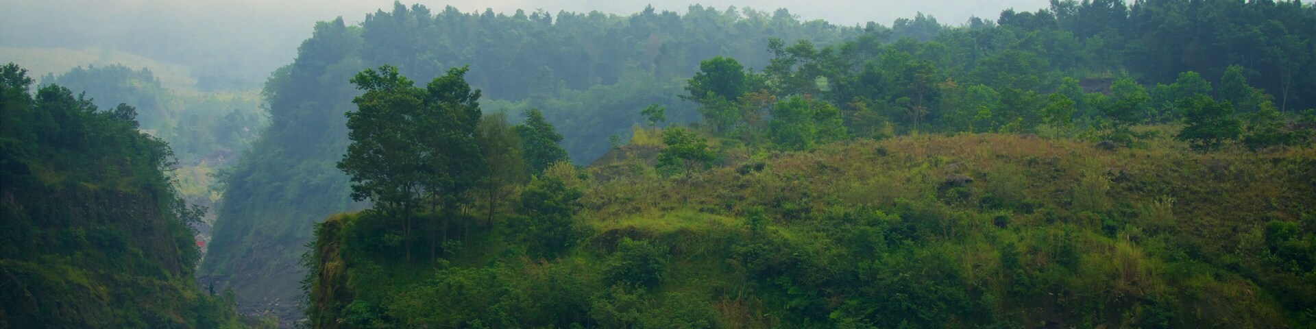 A lush green valley with dense forest and a winding road.