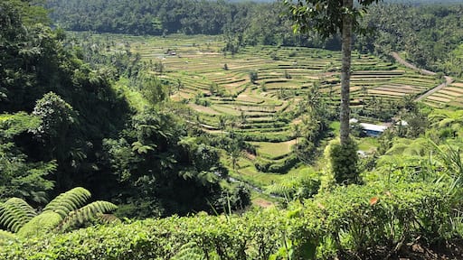 Beautifull landscape om Bali, Indonesia