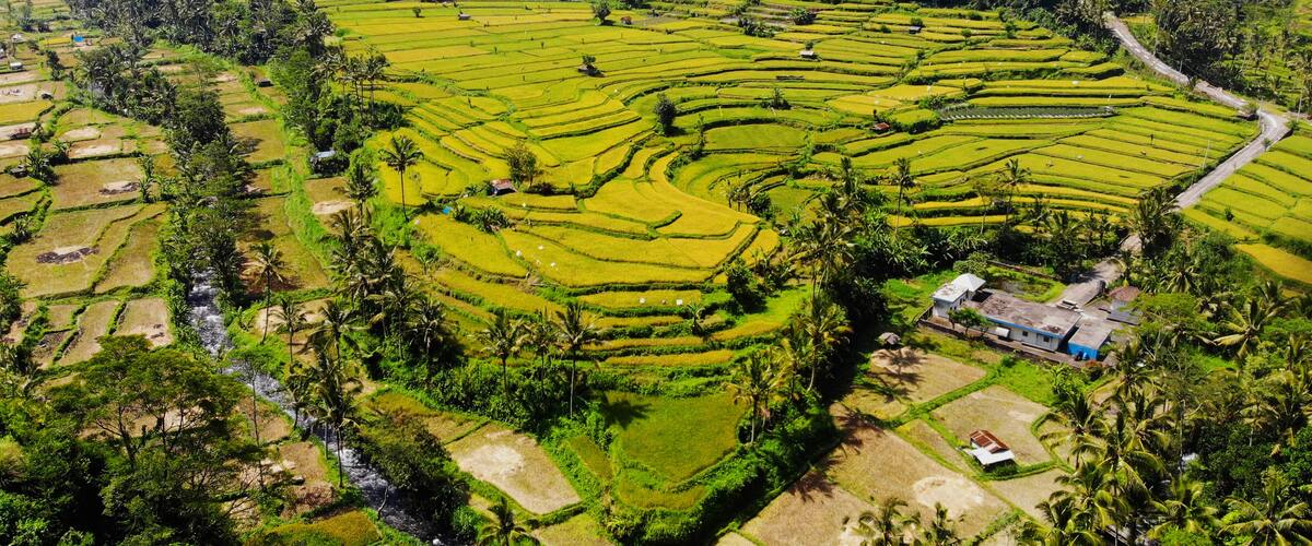 Aerial view of rice terraces at Mahagiri Panoramic Resort & Restaurant, Rendang, Bali., Shutterstock ID 1083314774, Purchase Order: -