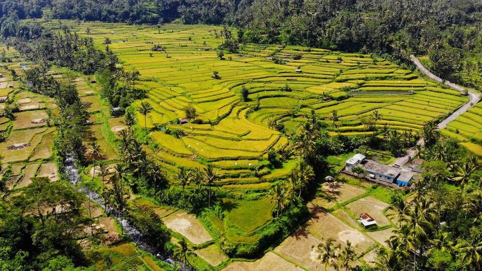 Aerial view of rice terraces at Mahagiri Panoramic Resort & Restaurant, Rendang, Bali., Shutterstock ID 1083314774, Purchase Order: -
