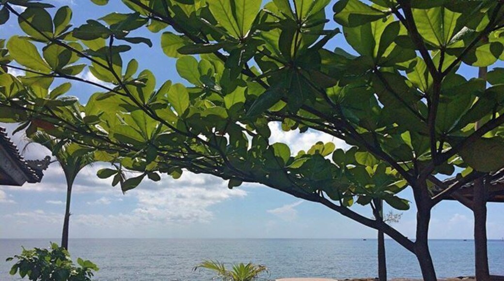 Beautiful places on the north coast of Bali too...