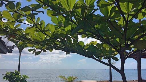 Beautiful places on the north coast of Bali too...