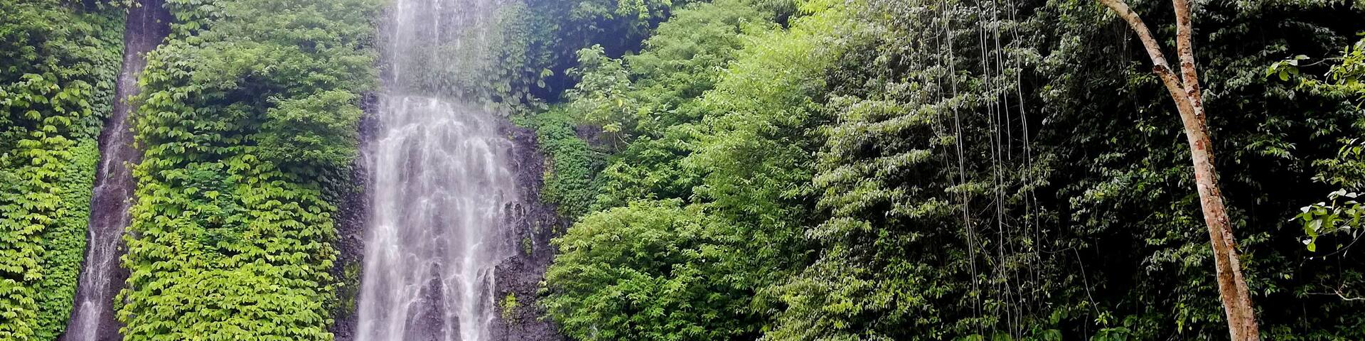 A waterfall surrounded by dense green foliage.